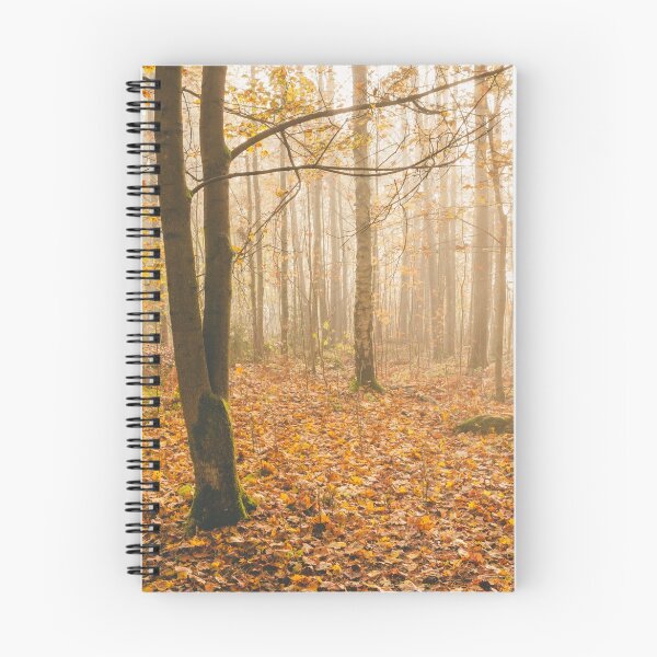 Item preview, Foggy morning autumn forest designed and sold by Juhku.