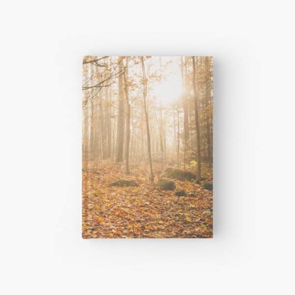Foggy morning autumn forest Hardcover Journal