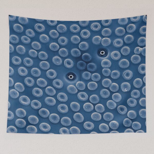 Item preview, Diatom - Cyclostephanos from Lake Malawi (blue) designed and sold by DiatomsATTACK.