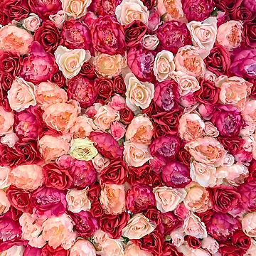 Artwork thumbnail, Roses by RizaMonera