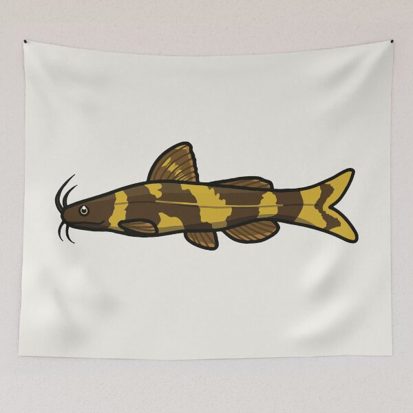 Item preview, Bumblebee Catfish (Microglanis iheringi), best fishkeeper gift, aquarium gift - aquadesk designed and sold by Aquadesk.
