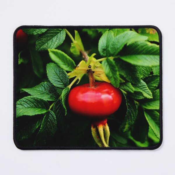 Item preview, Rosehip Berries on a bush with green leaves and blossom designed and sold by Michaelerch.