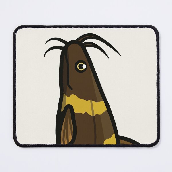 Item preview, Bumblebee Catfish (Microglanis iheringi) - aquadesk designed and sold by Aquadesk.
