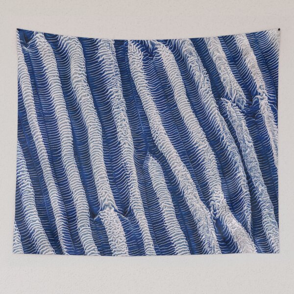 Item preview, Flower Petal in SEM (Blue) designed and sold by DiatomsATTACK.