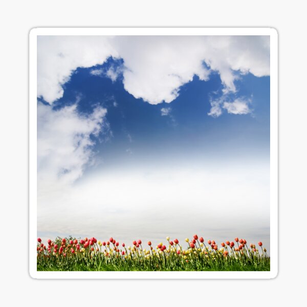 Item preview, Spring tulips and cloudscape view designed and sold by Arletta Cwalina.