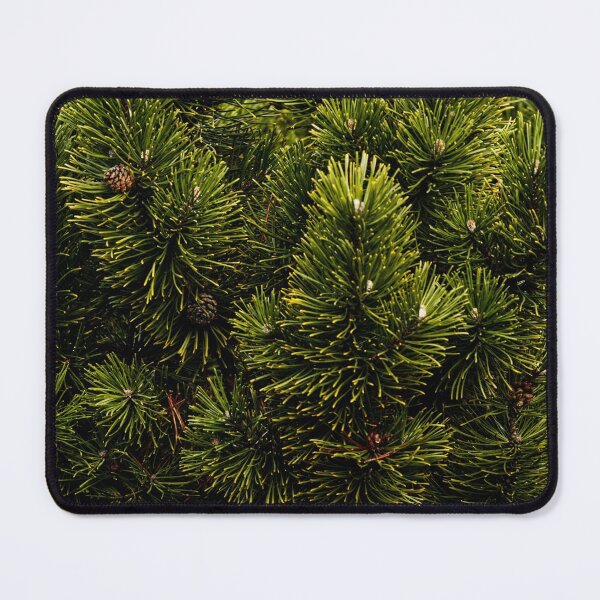 Item preview, Close up of Green pine tree, bush, fir tree - background texture designed and sold by Michaelerch.