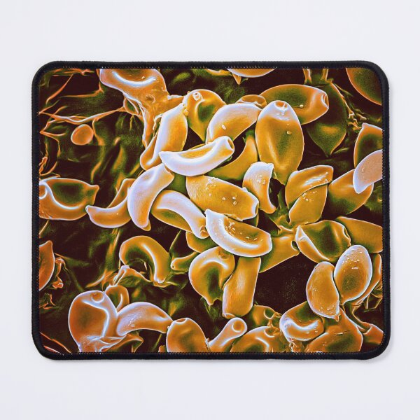 Item preview, Mushroom Spores in the SEM (Orange) designed and sold by DiatomsATTACK.