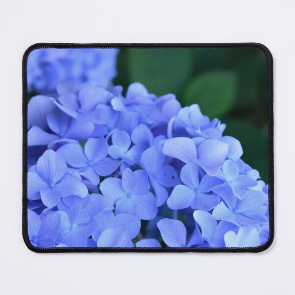 Item preview, Beautiful Purple Hydrangeas designed and sold by newburyboutique.