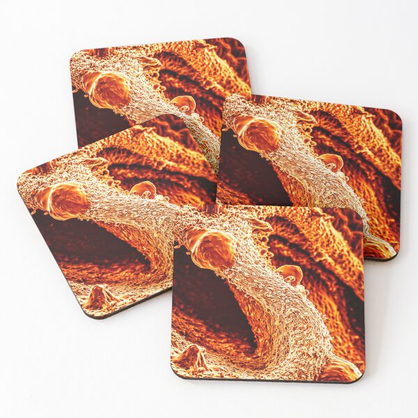 Item preview, Mushroom in SEM (orange) designed and sold by DiatomsATTACK.