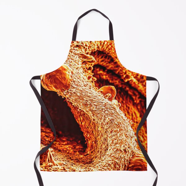 Item preview, Mushroom in SEM (orange) designed and sold by DiatomsATTACK.