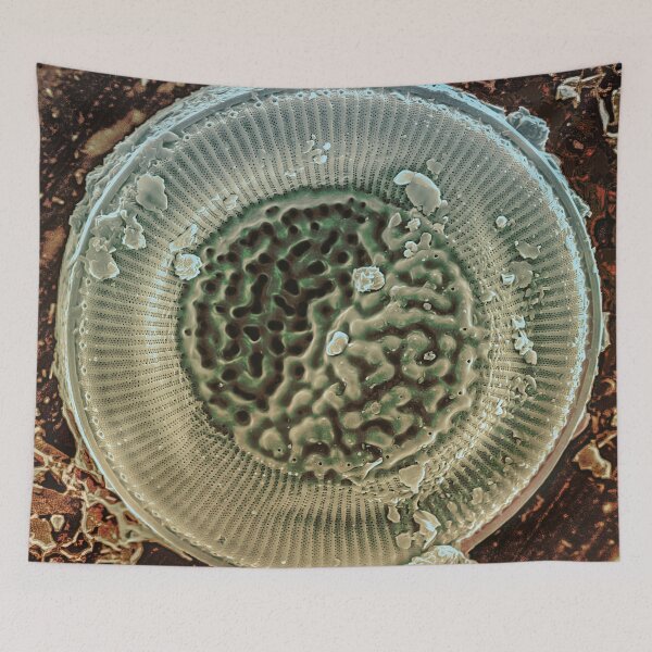 Item preview, Diatom - Cyclotella litoralis (external, platinum) designed and sold by DiatomsATTACK.