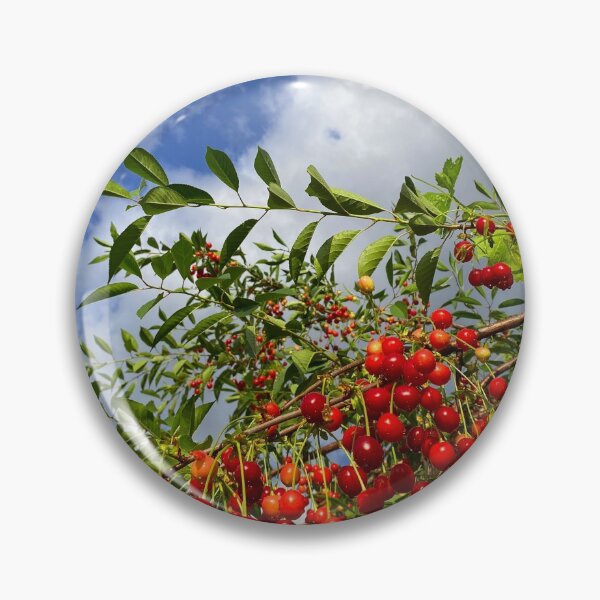 Item preview, Red Juicy Cherries designed and sold by turkmenboy1.