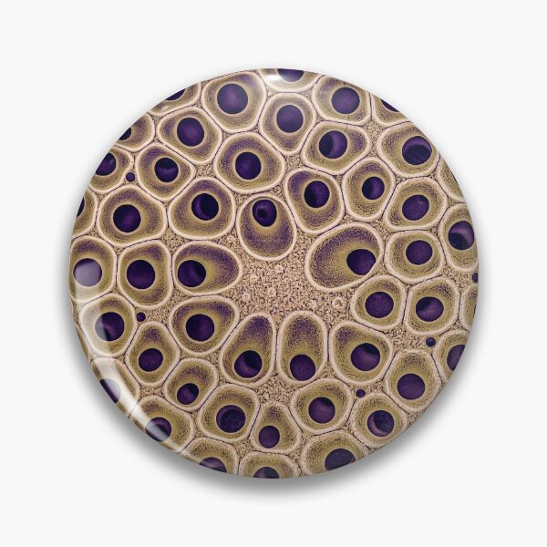 Artikelvorschau, Kieselalge - Coscinodiscus (außen, Gold) entworfen und verkauft von DiatomsATTACK.
