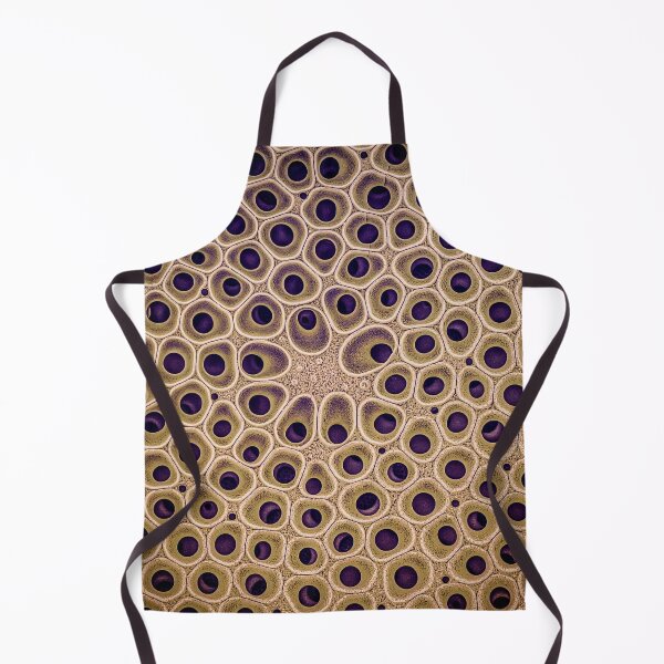 Item preview, Diatom - Coscinodiscus (external, gold) designed and sold by DiatomsATTACK.