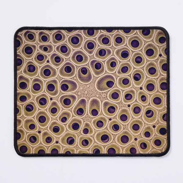 Item preview, Diatom - Coscinodiscus (external, gold) designed and sold by DiatomsATTACK.