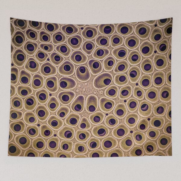 Item preview, Diatom - Coscinodiscus (external, gold) designed and sold by DiatomsATTACK.