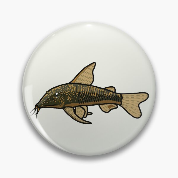 Item preview, Banded corydoras, best fishkeeper gift, aquarium gift - aquadesk designed and sold by Aquadesk.