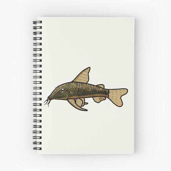 Item preview, Banded corydoras, best fishkeeper gift, aquarium gift - aquadesk designed and sold by Aquadesk.