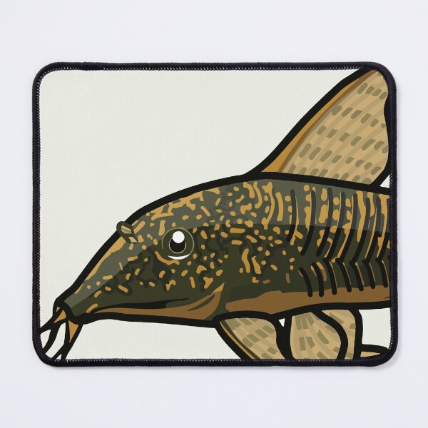 Item preview, Banded corydoras, best fishkeeper gift, aquarium gift - aquadesk designed and sold by Aquadesk.
