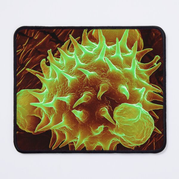 Item preview, Pollen - Daisy (Orange) designed and sold by DiatomsATTACK.
