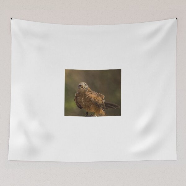 Item preview, The black kite designed and sold by Rick Playle.