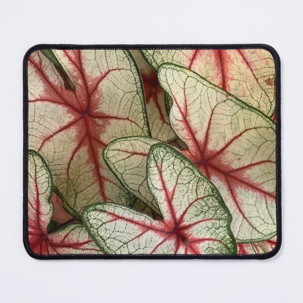 Item preview, Pretty leaves designed and sold by agnessa38.
