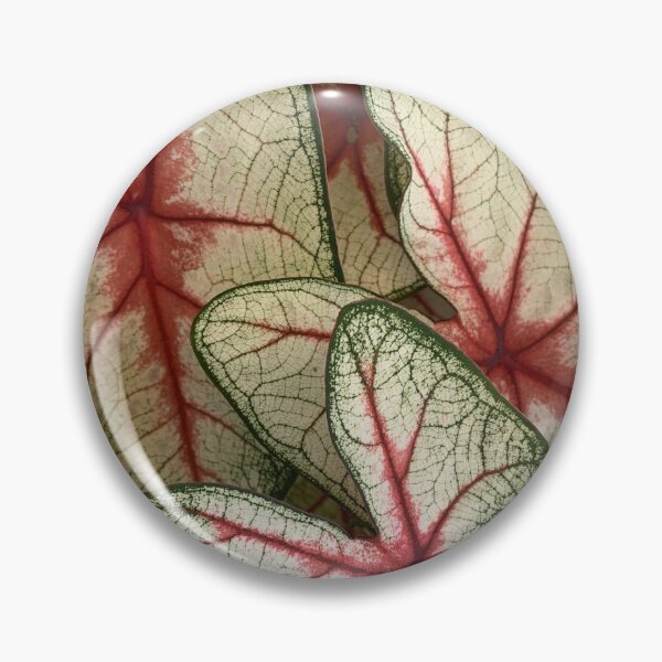Item preview, Pretty leaves designed and sold by agnessa38.