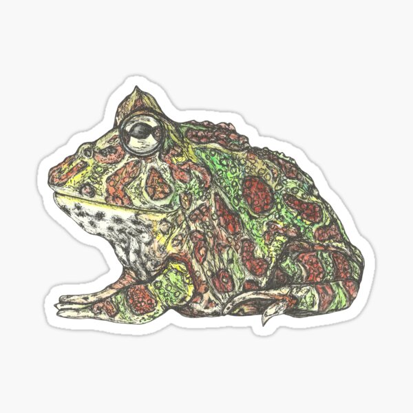 Item preview, Argentine Horned Frog designed and sold by SerenSketches.