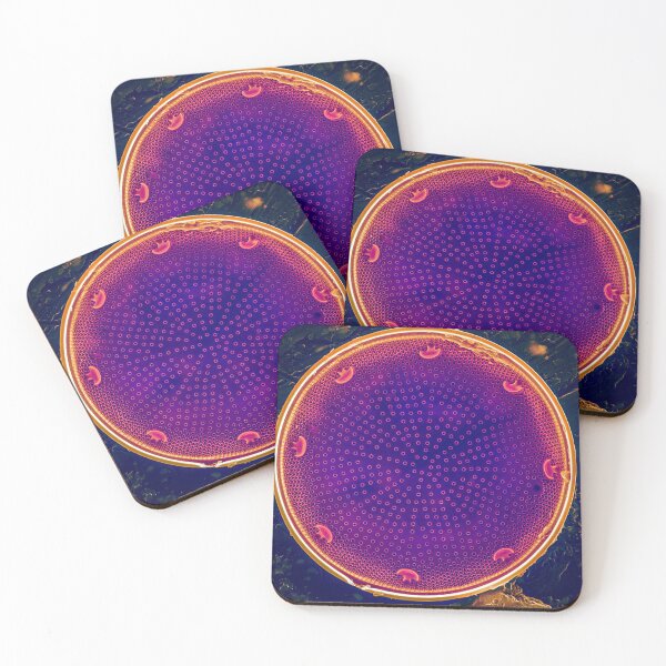 Diatom - Actinocyclus in SEM (Neon) Coasters (Set of 4)