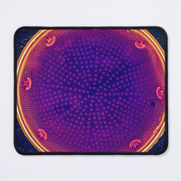 Item preview, Diatom - Actinocyclus in SEM (Neon) designed and sold by DiatomsATTACK.