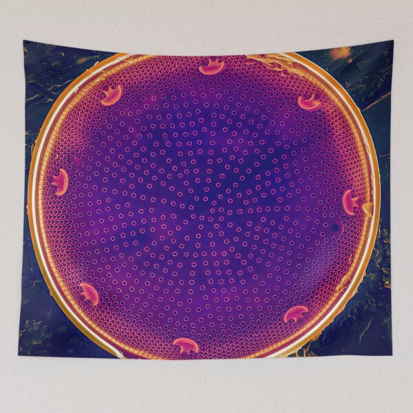 Item preview, Diatom - Actinocyclus in SEM (Neon) designed and sold by DiatomsATTACK.