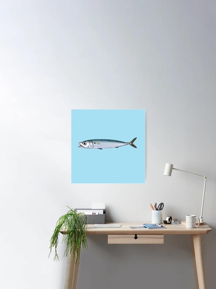Pacific Chub Mackerel Color Design  Poster for Sale by designsasstultd