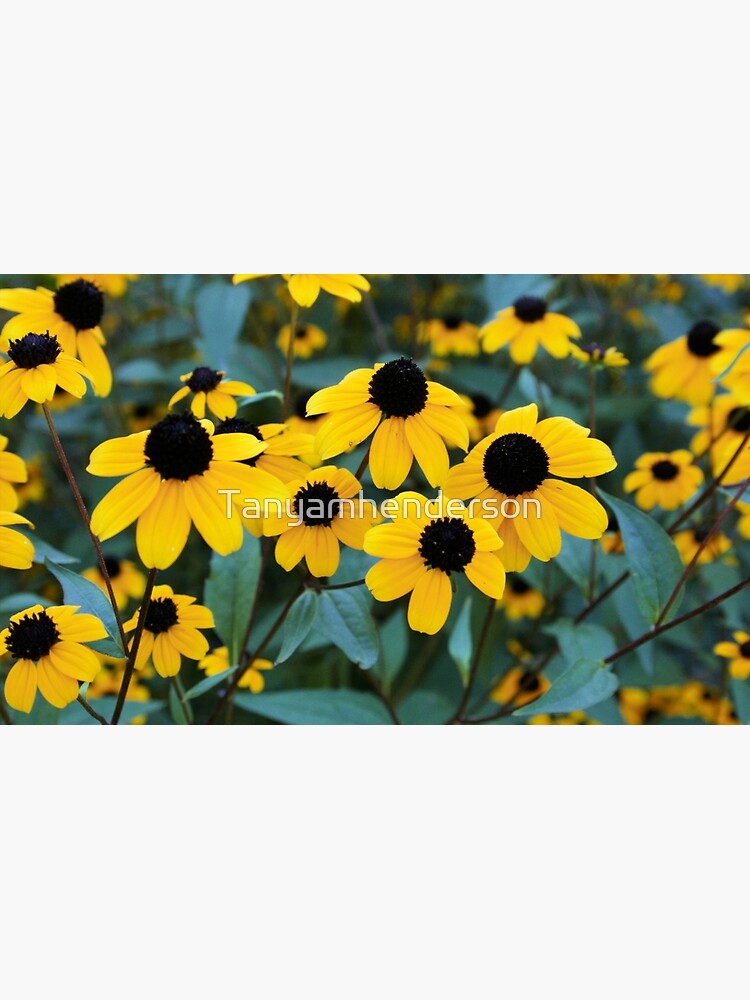 flowers by Tanyamhenderson