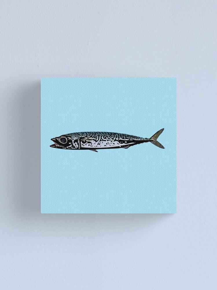 Pacific Chub Mackerel Color Design  Poster for Sale by designsasstultd