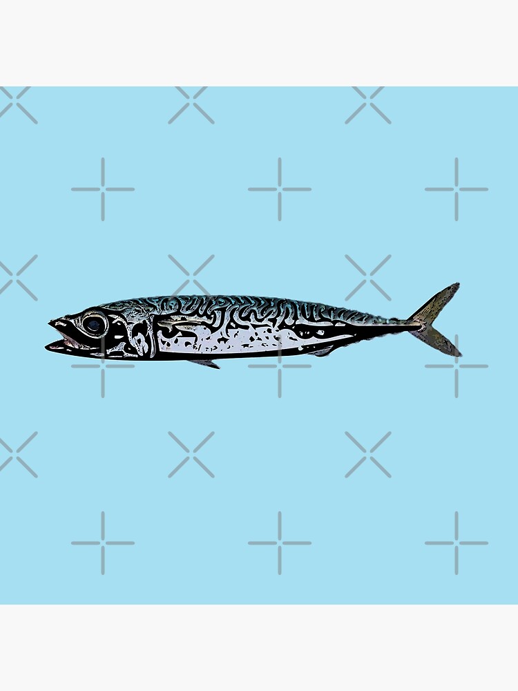 Chub Mackerel, Pacific Image & Photo (Free Trial)