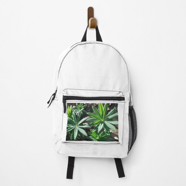 Item preview, Leafy Green Cacti Plants designed and sold by AmeliaIsabel.