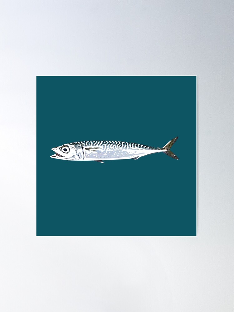 Pacific Chub Mackerel White Alternate Design  Poster for Sale by  designsasstultd