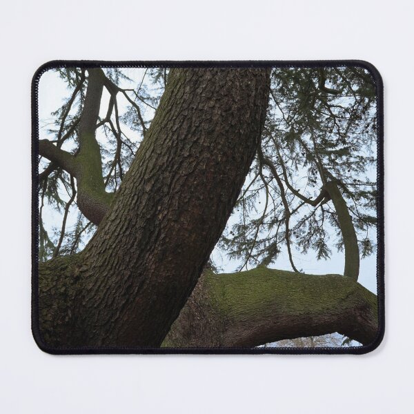 Item preview, Through the Canopy designed and sold by LozMac.
