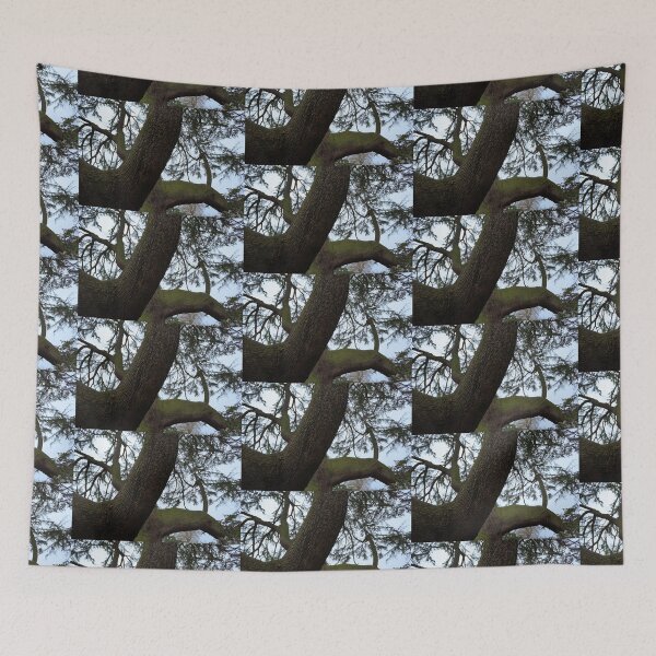 Item preview, Through the Canopy designed and sold by LozMac.