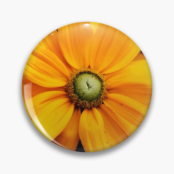 Item preview, Close up of yellow and orange Daisy flower head in summer designed and sold by Michaelerch.
