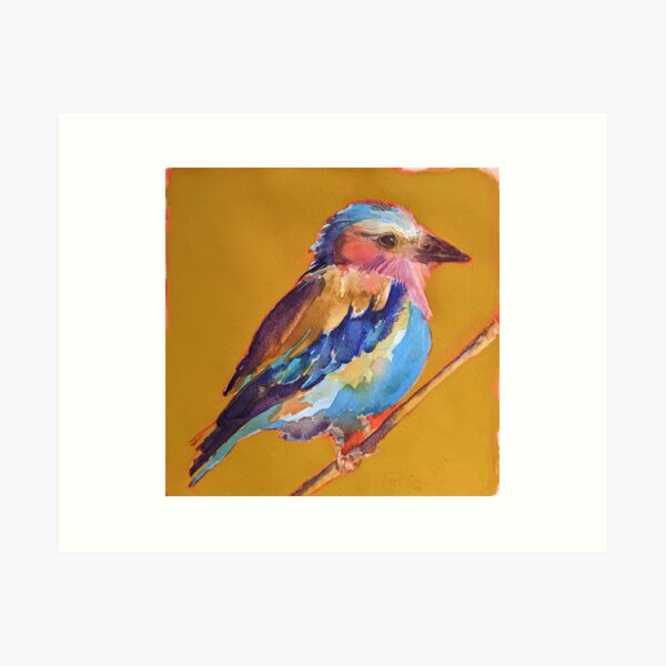 Lilac Breasted Roller Art Print