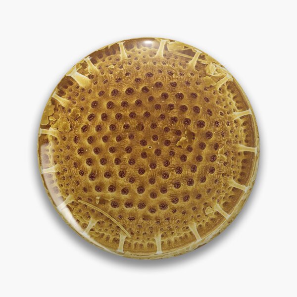 Item preview, Diatom - Thalassiosira (external, gold) designed and sold by DiatomsATTACK.