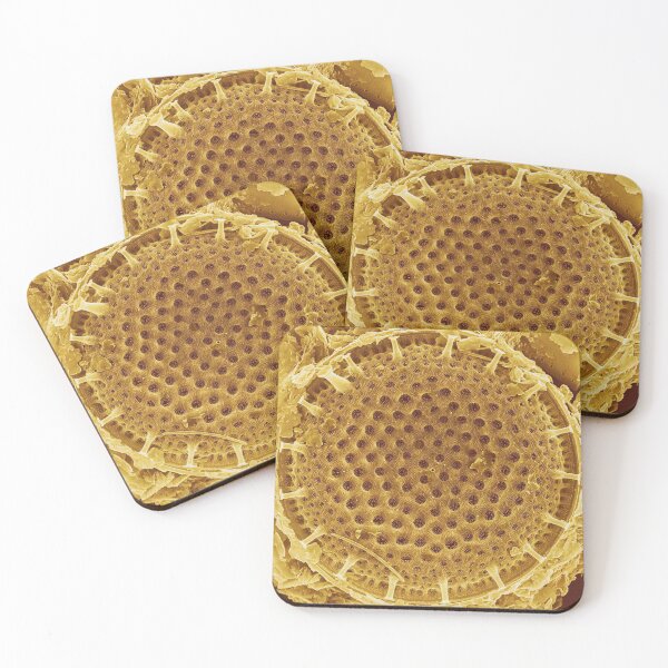 Item preview, Diatom - Thalassiosira (external, gold) designed and sold by DiatomsATTACK.