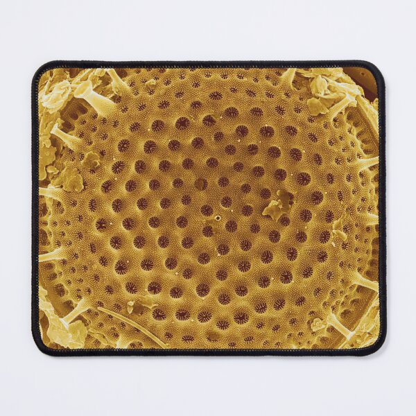 Item preview, Diatom - Thalassiosira (external, gold) designed and sold by DiatomsATTACK.