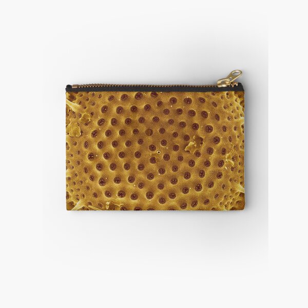 Item preview, Diatom - Thalassiosira (external, gold) designed and sold by DiatomsATTACK.