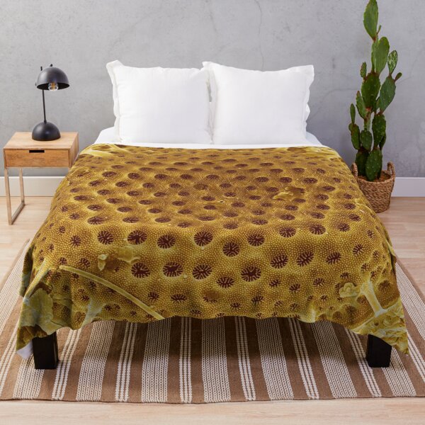 Item preview, Diatom - Thalassiosira (external, gold) designed and sold by DiatomsATTACK.