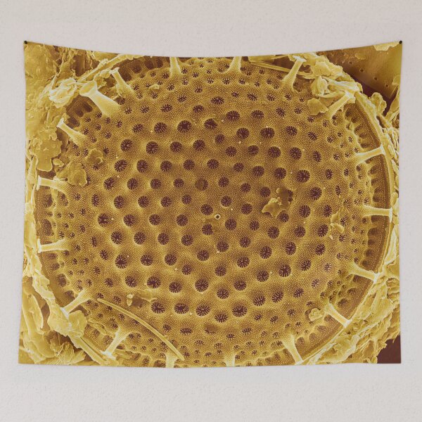Item preview, Diatom - Thalassiosira (external, gold) designed and sold by DiatomsATTACK.