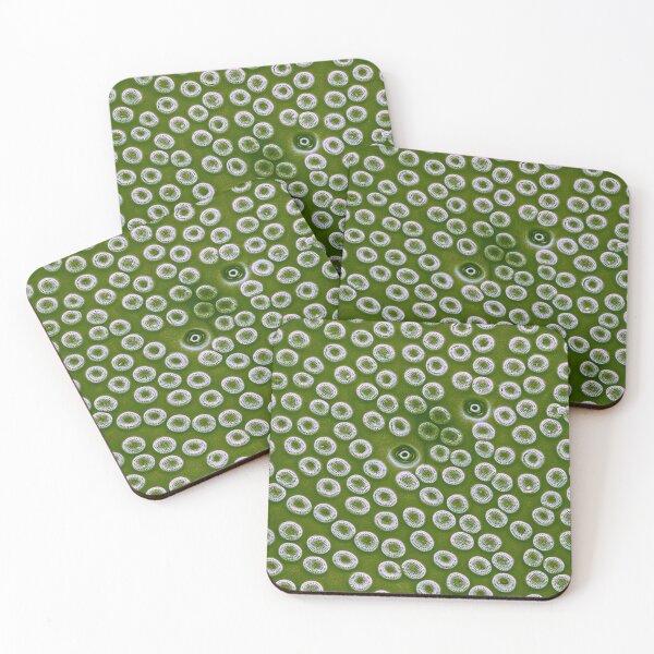 Item preview, Diatom - Cyclostephanos from Lake Malawi (pea green) designed and sold by DiatomsATTACK.