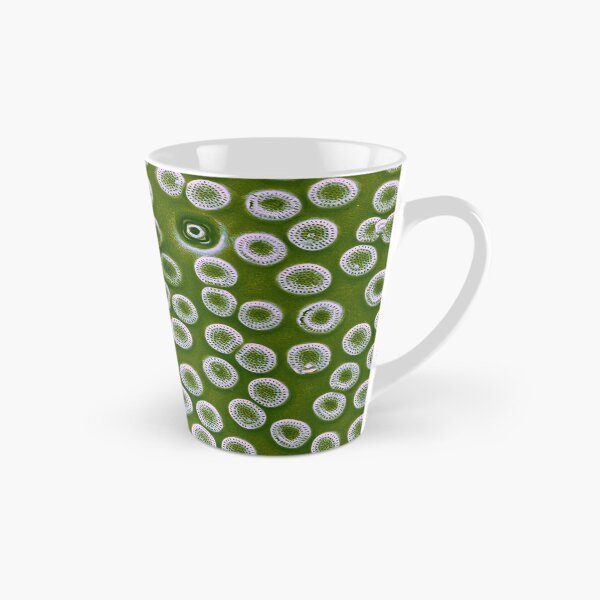 Item preview, Diatom - Cyclostephanos from Lake Malawi (pea green) designed and sold by DiatomsATTACK.