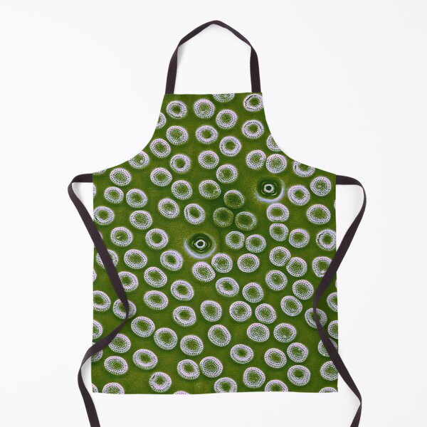 Item preview, Diatom - Cyclostephanos from Lake Malawi (pea green) designed and sold by DiatomsATTACK.